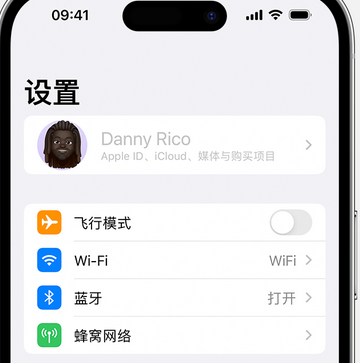 东宁appleID维修服务iPhone设置中Apple ID显示为灰色无法使用 