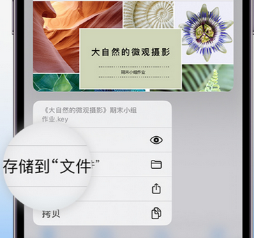 东宁apple维修中心分享iPhone文件应用中存储和找到下载文件