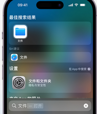 东宁apple维修中心分享iPhone文件应用中存储和找到下载文件 