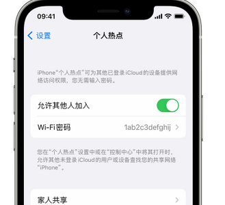 东宁apple服务站点分享iPhone上个人热点丢失了怎么办