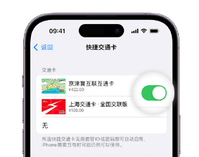 东宁apple维修点分享iPhone上更换Apple Pay快捷交通卡手绘卡面 