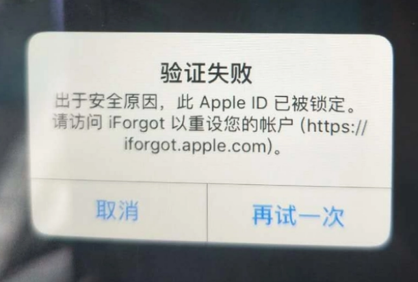 东宁iPhone维修分享iPhone上正常登录或使用AppleID怎么办 