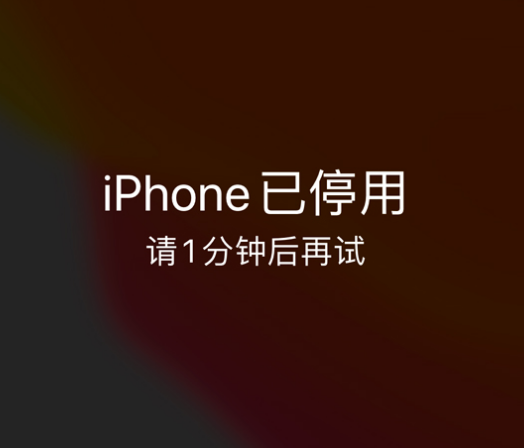 东宁苹果手机维修分享:iPhone 显示“不可用”或“已停用”怎么办？还能保留数据吗？ 