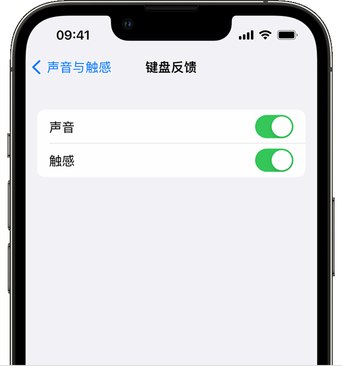 东宁苹果14维修店分享如何在 iPhone 14 机型中使用触感键盘 