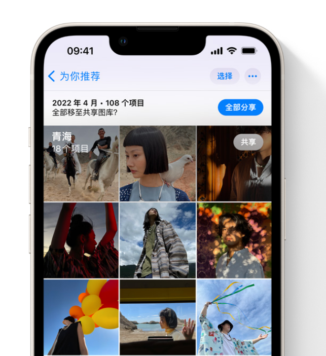 东宁苹果维修网点分享在 iPhone 上使用共享图库 