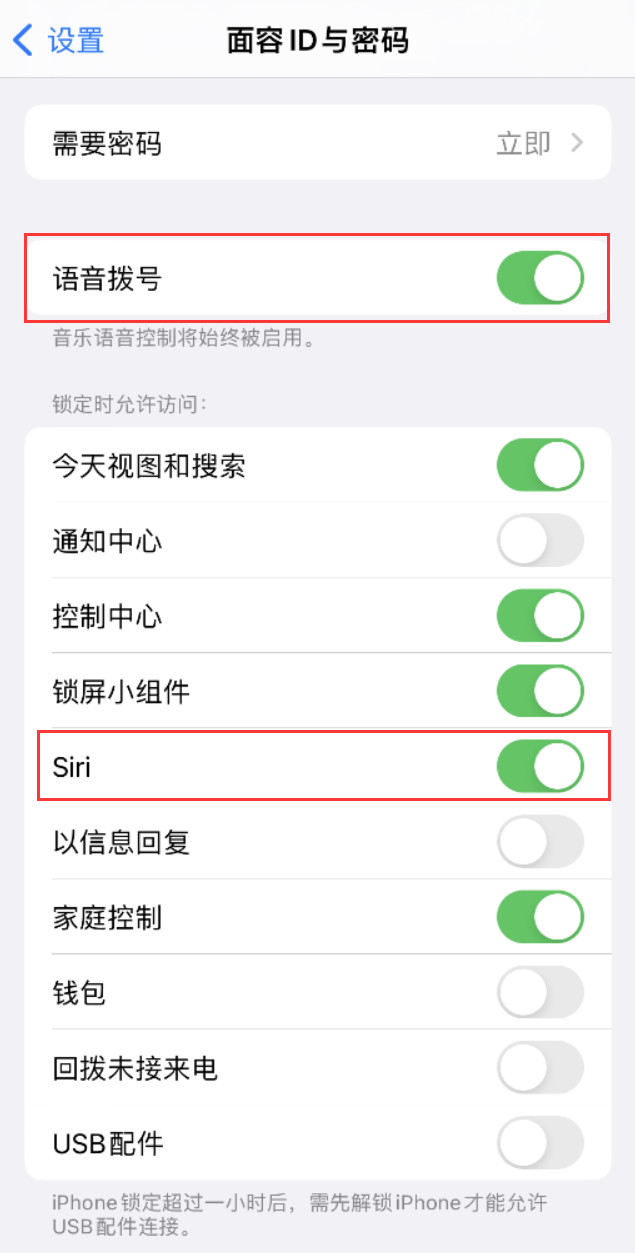 东宁苹果维修网点分享不解锁 iPhone 的情况下通过 Siri 拨打电话的方法 