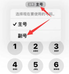 东宁苹果14维修店分享iPhone 14 Pro Max使用副卡打电话的方法 