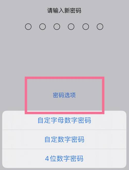 东宁苹果14维修分享iPhone 14plus设置密码的方法 