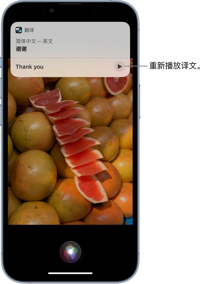 东宁苹果14维修分享 iPhone 14 机型中使用 Siri：了解 Siri 能帮你做什么 