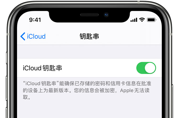 东宁苹果手机维修分享在 iPhone 上开启 iCloud 钥匙串之后会储存哪些信息 