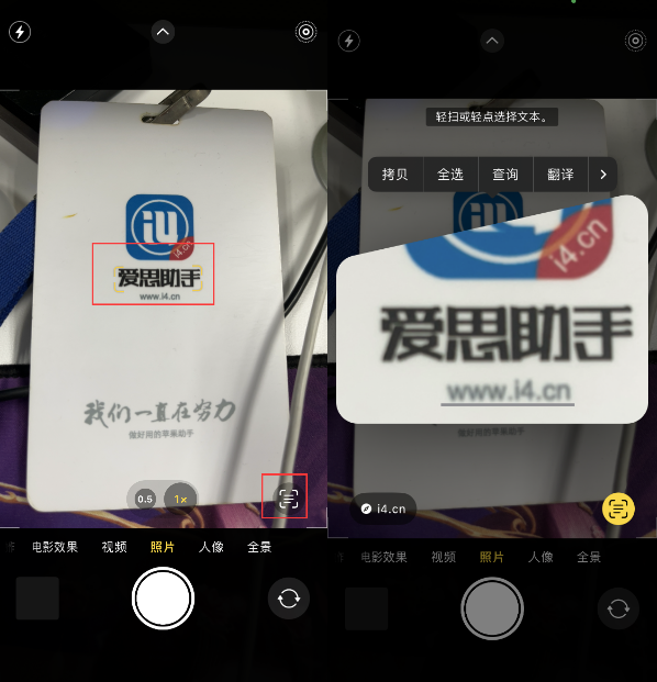 东宁苹果手机维修分享升级iOS 16后如何通过相机翻译文本 