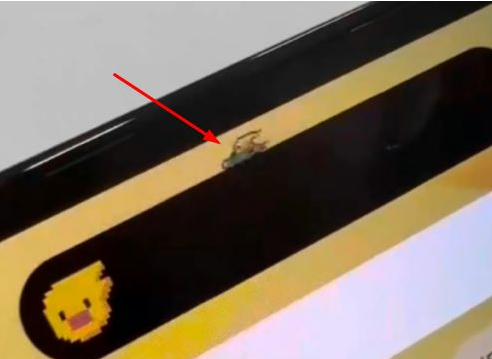 东宁苹果14维修分享iPhone 14 Pro Max灵动岛怎么养宠物 