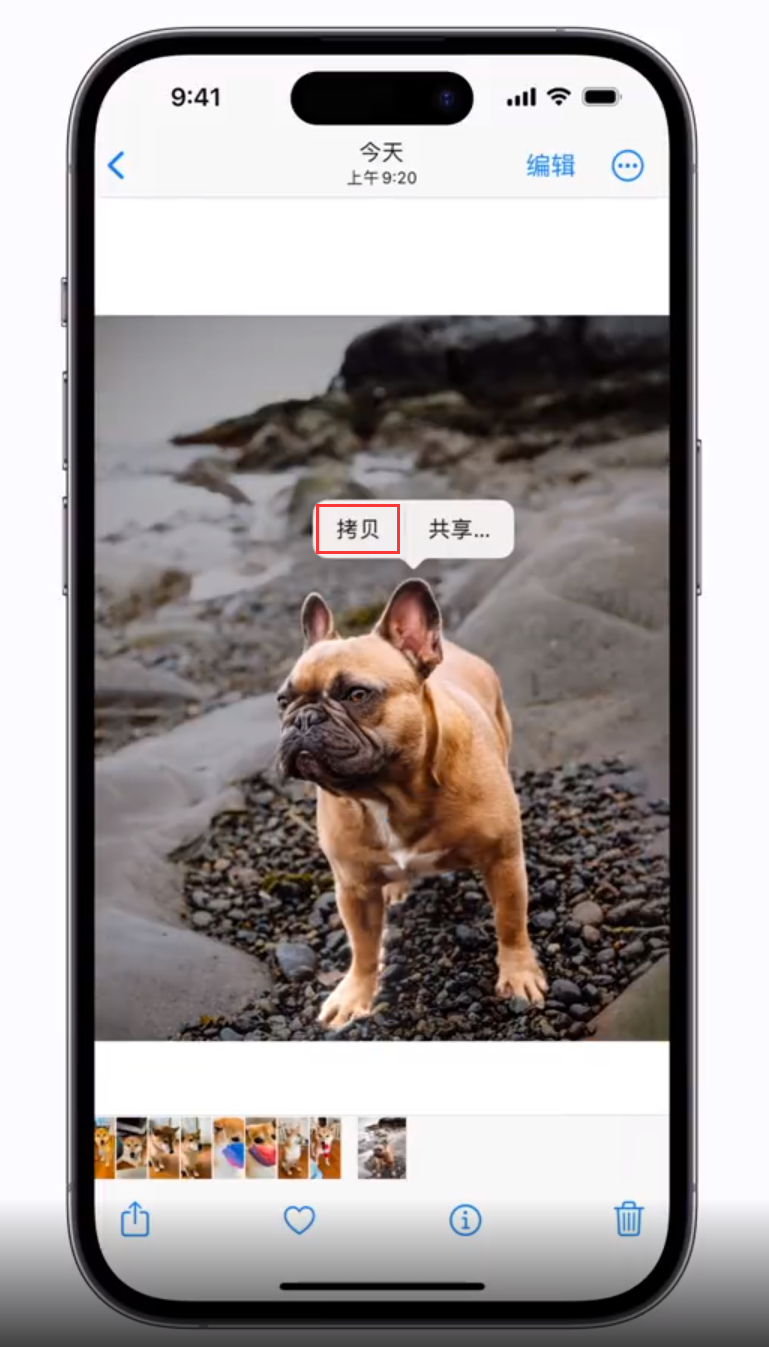东宁苹果手机维修分享 iOS 16 自带一键抠图功能 