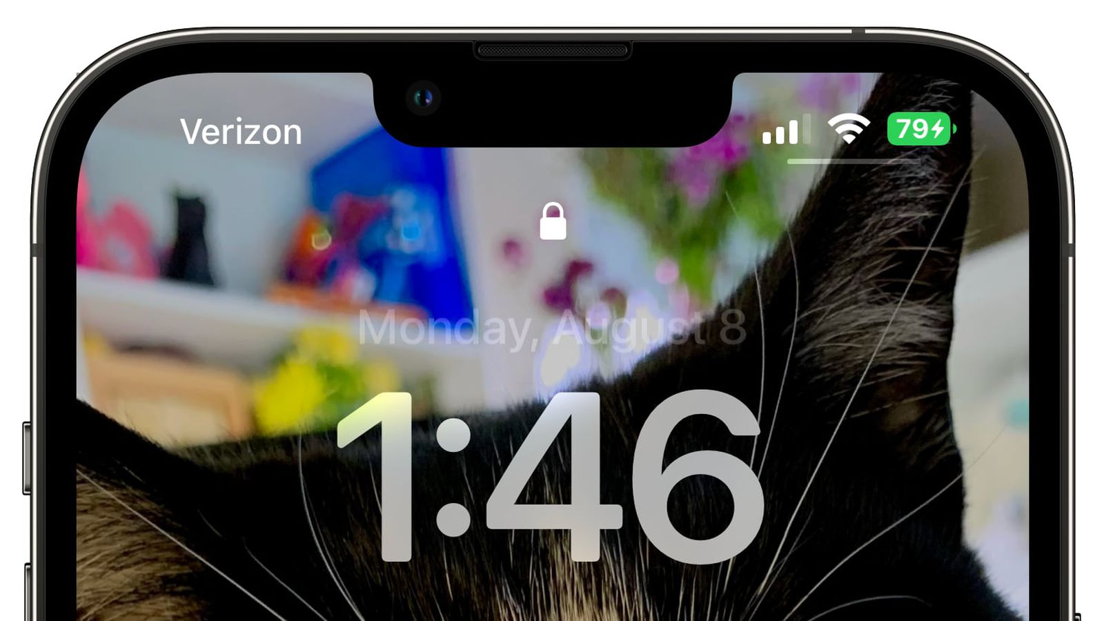 东宁苹果手机维修分享iOS 16 beta 5 支持状态栏显示电池百分比，如何开启？支持哪些机型 