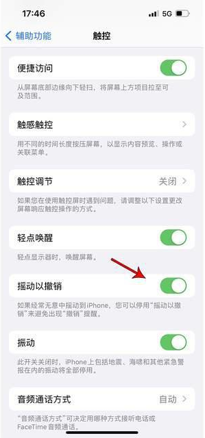 东宁苹果手机维修分享iPhone手机如何设置摇一摇删除文字 