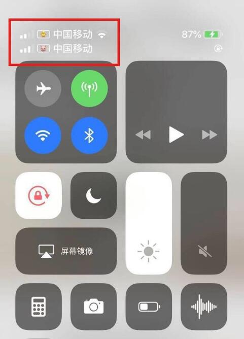 东宁苹果手机维修分享为 iPhone 12 双卡设置标签 